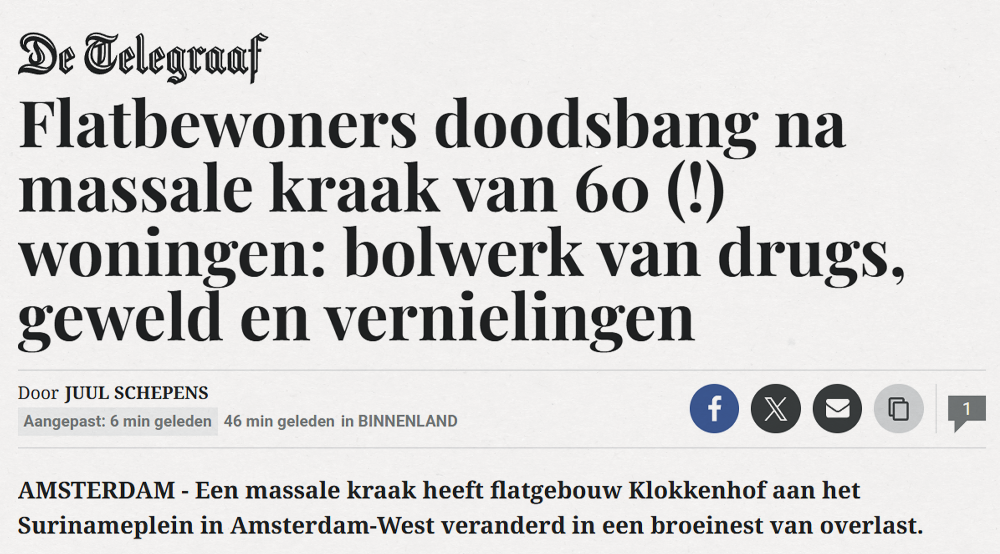 De Telegraaf artikel thumbnail